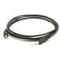 PL CH-PL-PL-5 Gold Touch למכירה , 2 image