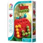 משחק אתגר התפוח Foxmind למכירה 