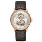 שעון יד  אנלוגי  לגבר Rado R22895025 ראדו למכירה , 2 image