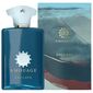 בושם לגבר Amouage Enclave E.D.P 100ml למכירה , 2 image