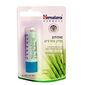 Himalaya Lip Balm Pack Of 4 למכירה 