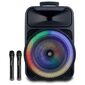 בידורית קריוקי Pure Acoustics V-12-250 למכירה , 2 image