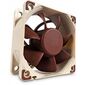 NFA6X25 NOCTUA למכירה , 2 image