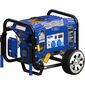 גנרטור  בנזין Ford FG4050P למכירה 