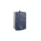 רמקול מוגבר SoundKing FP208/F208T/FP208A למכירה , 2 image