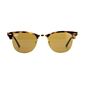 משקפי שמש  יוניסקס Ray Ban CLUBMASTER FLECK RB3016 1160 ריי באן למכירה 