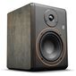 מוניטור Palmer Studimon 5 למכירה 