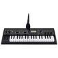 סינתסייזר Korg microKORG XL למכירה , 4 image