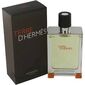 בושם לגבר Hermes Terre D'Hermes E.D.T 100ml למכירה , 3 image