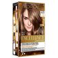 צבע שיער קבוע 6.13 חום בהיר קר Loreal למכירה 