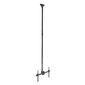 מתקן תליה לטלוויזיה PLB-CE946-01XL Audio Line למכירה , 2 image